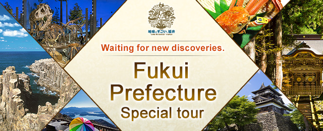 [From Kansai] Fukui Prefecture Tours and Trips