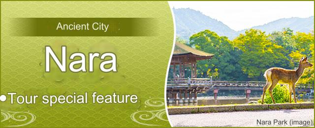 Nara trip, Nara tour