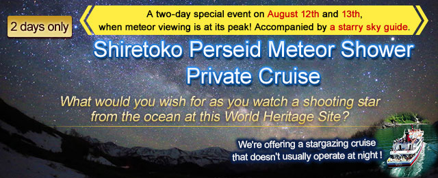 Special Plan Shiretoko Perseid Meteor Shower Tour/Travel Private Cruise