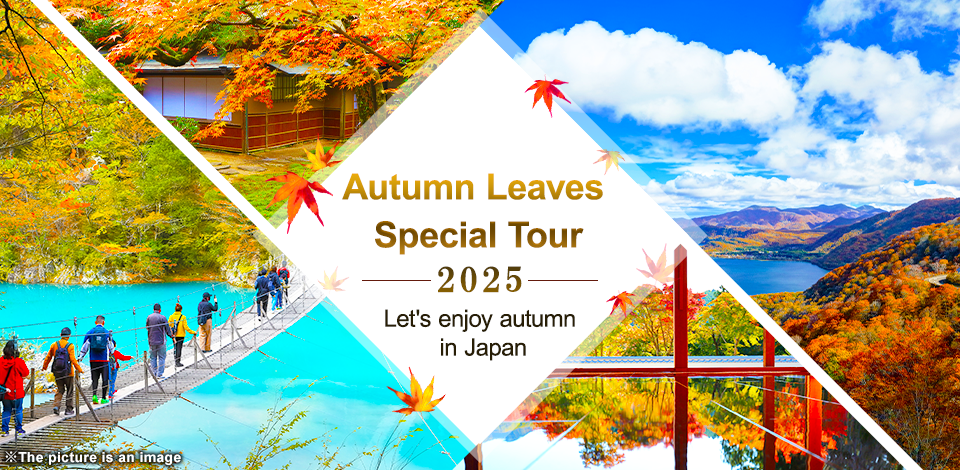 Autumn foliage viewing spots in the Chubu and Tokai areas