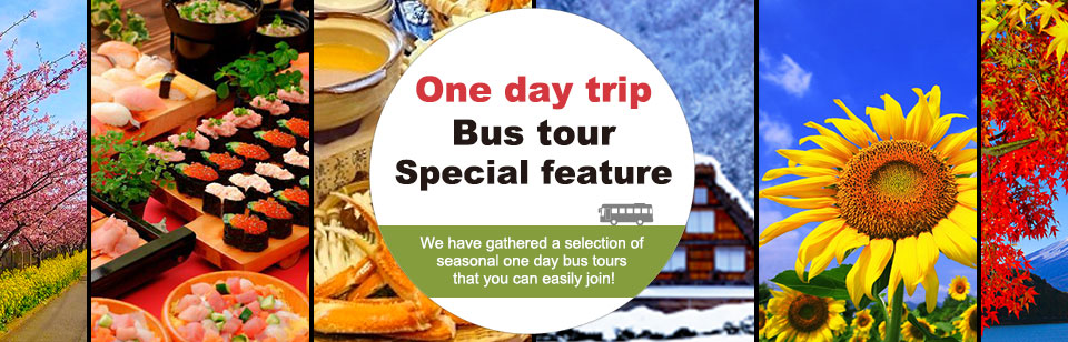 One-day bus tours and travel specials