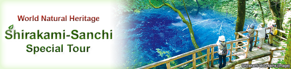 [From Tokai] Shirakami Sanchi Mountain Range Tours and Trips