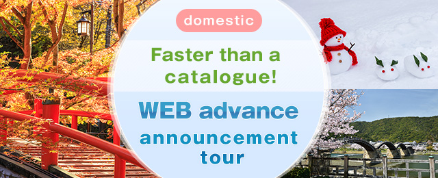 [From Tohoku] Domestic Travel and tours announced online