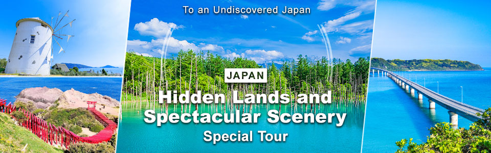 [From Kansai] Bus tours and trips to Japan's hidden places and spectacular views
