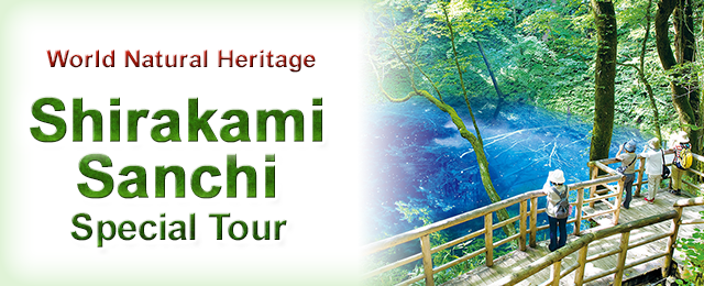 [From Tokai] Shirakami Sanchi Mountain Range Tours and Trips