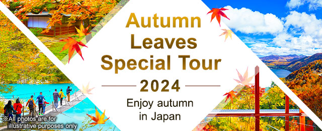 [From Chugoku and Shikoku] Autumn foliage tour/foliage trip 2024