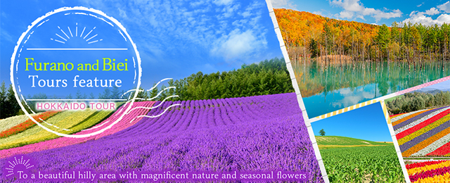 Introducing the highlights | Furano and Biei tours and trips