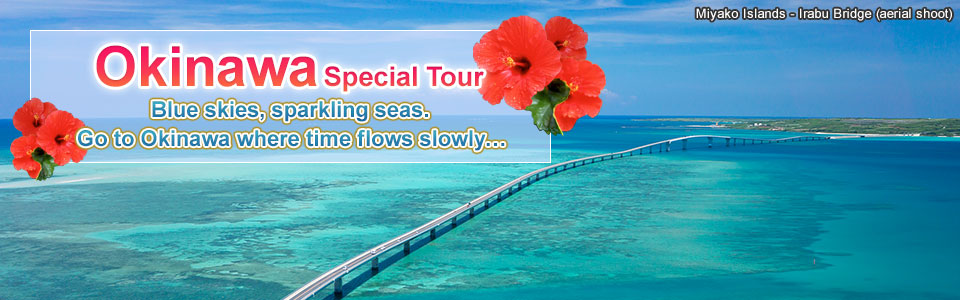 Churashima Okinawa Tour/Travel