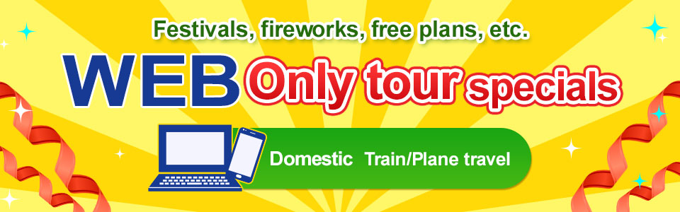 Domestic (train and plane) travel and tours available exclusively on the web