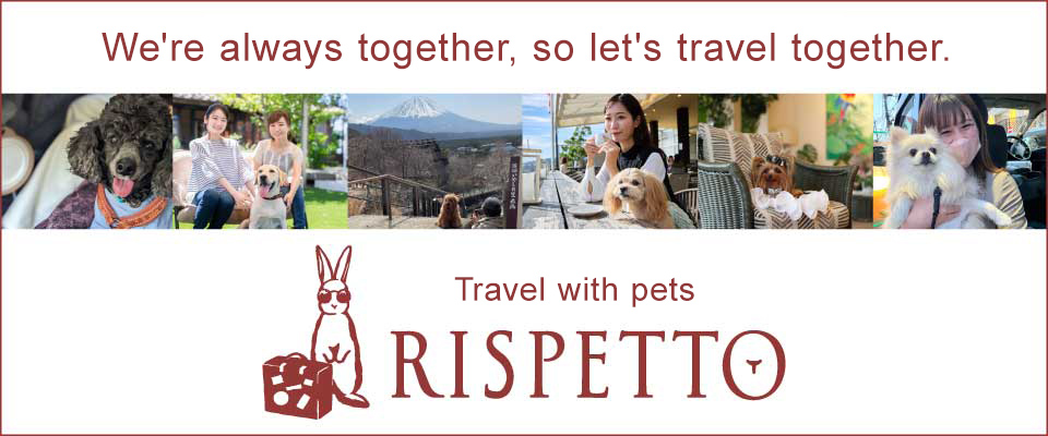 Traveling with pets: RISPETTO - Participant comments