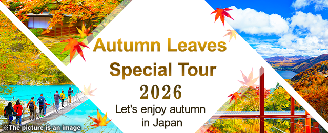 Autumn Leaves Photo Gallery