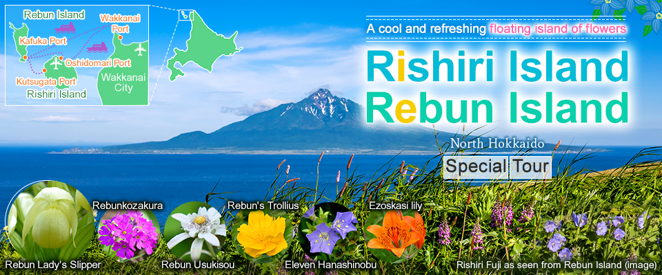 【From Kansai】Rishiri Island Rebun Island Travel/Tour 2026