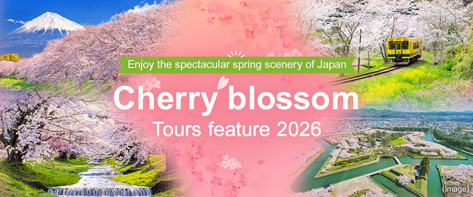 [Tokyo From the 23rd Ward] Cherry blossom and cherry blossom viewing by train and plane Tour/Travel 2026