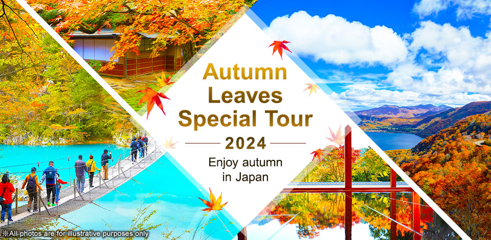 [Departing from Kanagawa (including Machida City)] Autumn foliage tour/foliage trip 2024