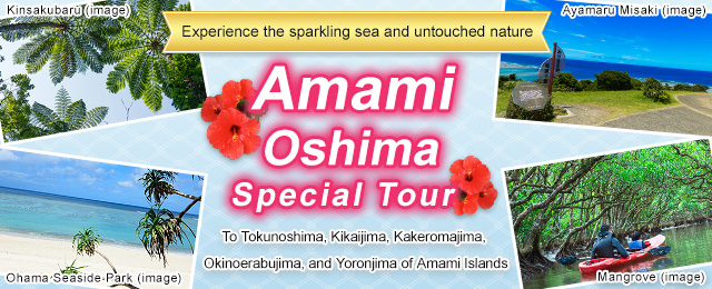 [From Tokai] Amami Oshima Tours and Travel
