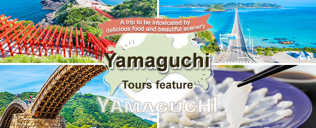 [From Tokai] Yamaguchi Tour/Travel
