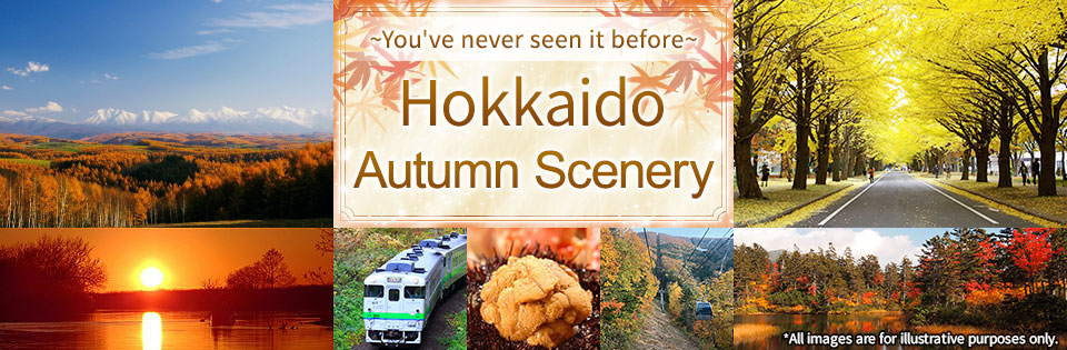 Autumnal Hokkaido Scenery and Basic Information