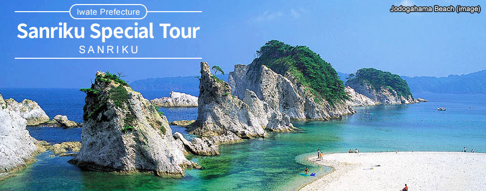 Sanriku Tours and Travel