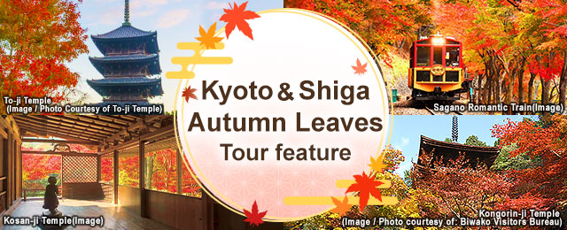 京都の紅葉スポットのご紹介