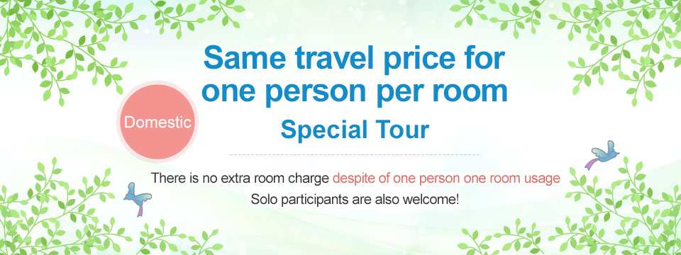 [Tokyo 23 wards departure] Bus tour for 1 person per room, same travel price Domestic Travel /tour