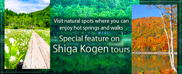 Shiga Kogen Tours and Travel