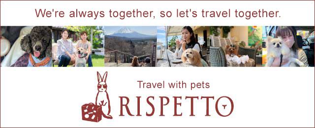 Traveling with pets: RISPETTO - Participant comments