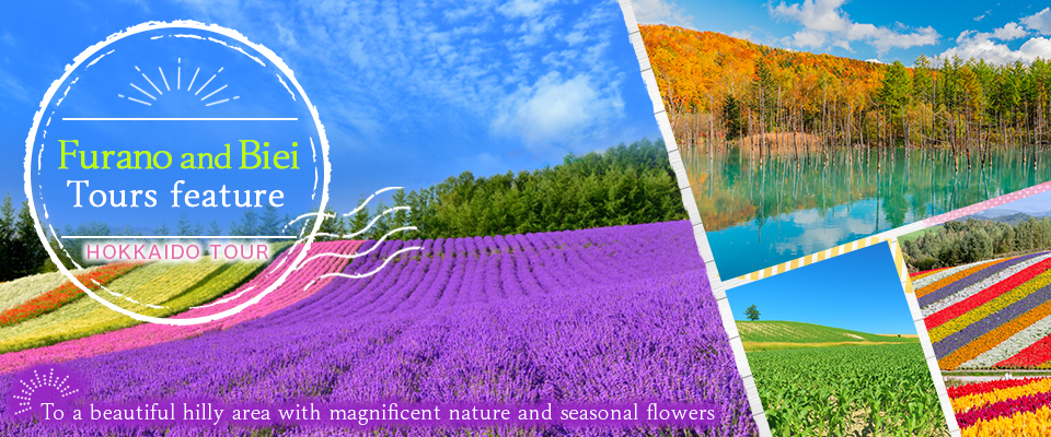 Introducing the highlights | Furano and Biei tours and trips