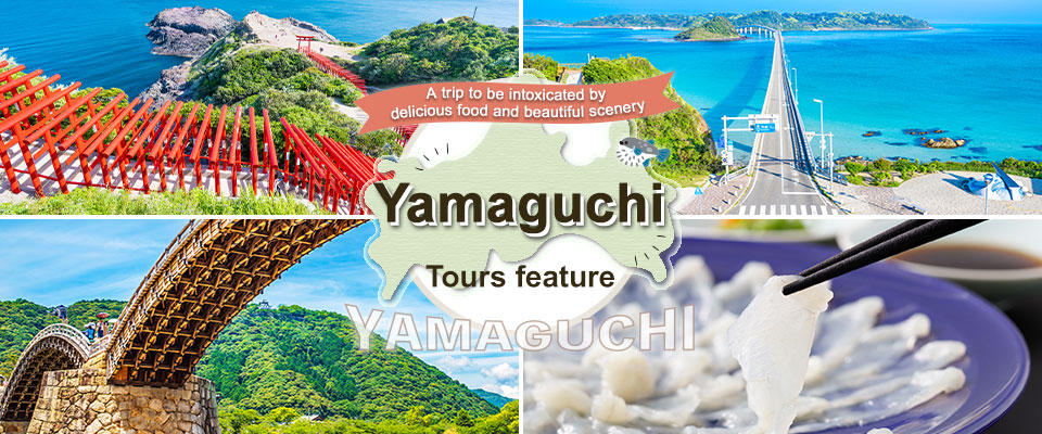 [From Tokai] Yamaguchi Tour/Travel