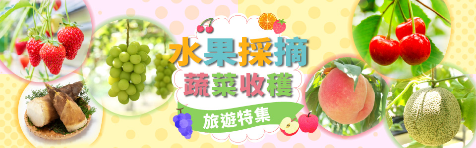 水果採摘·蔬菜採摘觀光·旅行