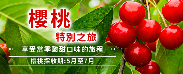 [神奈川縣（含町田市）] 櫻桃採摘旅遊/旅行