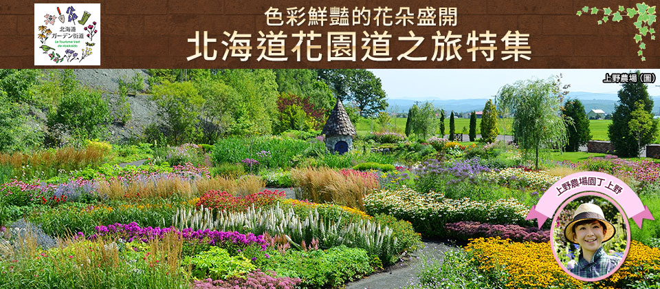 [從中國/四國/九州出發]北海道花園大道旅遊/旅行