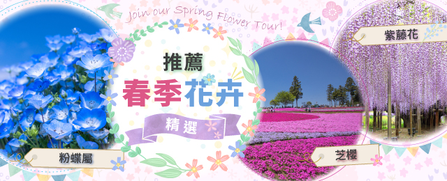 春季賞花特輯2026|Nemofila、芝櫻、杜鵑花、紫藤花等