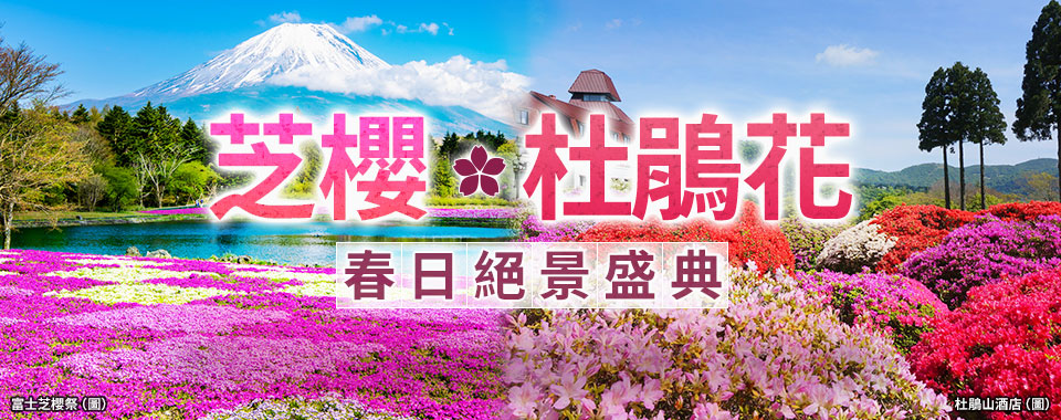 柴櫻旅遊/旅行2026