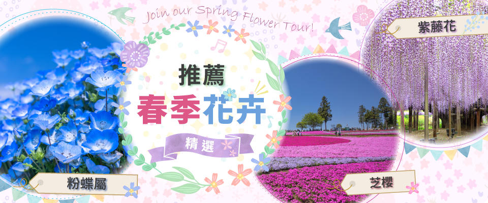 春季賞花特輯2026|Nemofila、芝櫻、杜鵑花、紫藤花等