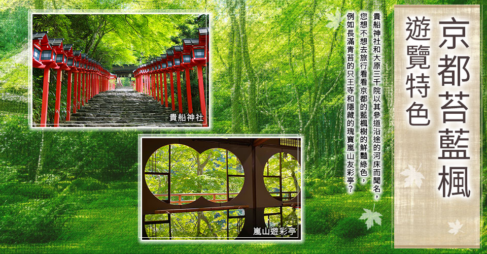 北海道東北四國京都從[ , , 中國, , 九州] 出發的青苔和藍楓觀光團和旅行團