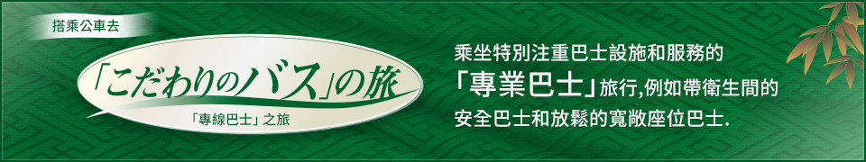 頂級巴士特色/旅遊