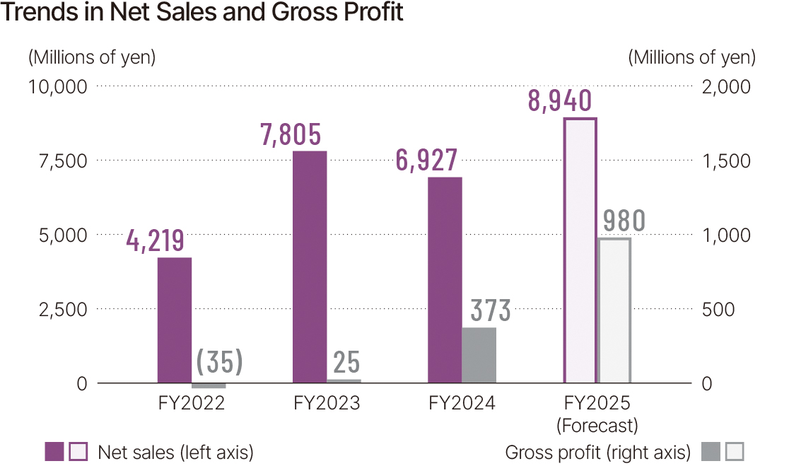 Trends in Net Sales and Gross Profit