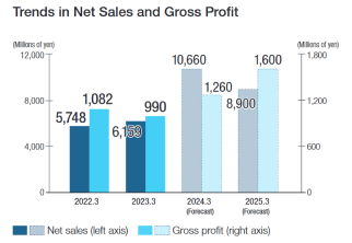 Trends in Net Sales and Gross Profit