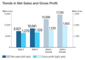 Trends in Net Sales and Gross Profit