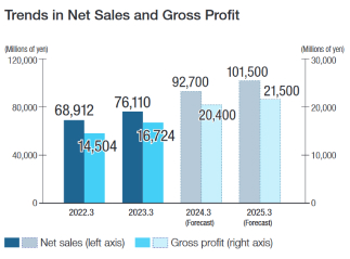 Trends in Net Sales and Gross Profit