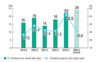 Dividend per Share/Dividend Payout Ratio