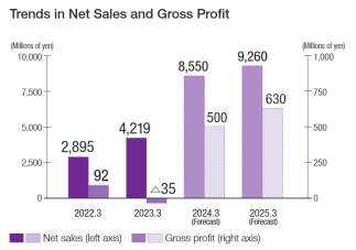 Trends in Net Sales and Gross Profit