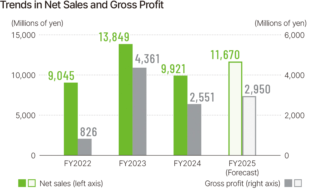 Trends in Net Sales and Gross Profit