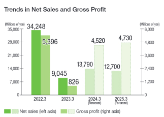 Trends in Net Sales and Gross Profit