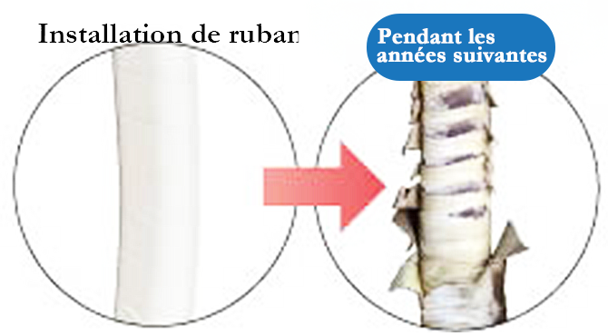 Slimduct, INABA, INABA DENKO, Conduits, goulotte en PVC, installation de climatisation, couverture de conduite