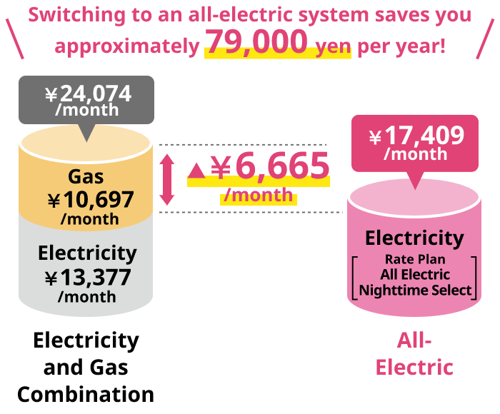 Price chart for combined electricity and gas use and all-electric
