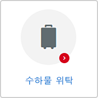 수하물 위탁