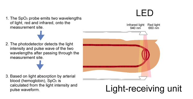 Image: Illustrating the Process of Emitting Two Types of Light and Analyzing Light Transmitted Through the Body.
