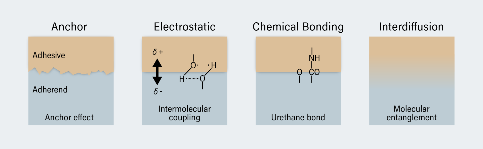 An example of adhesion mechanism between adhesive and adherend

