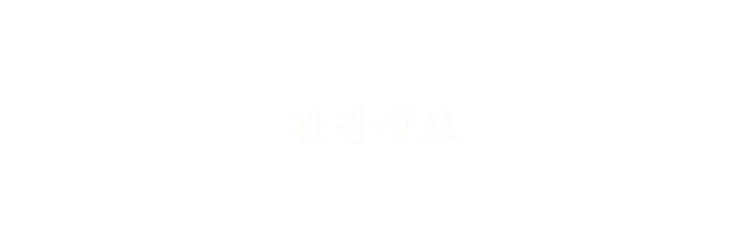 관광정보